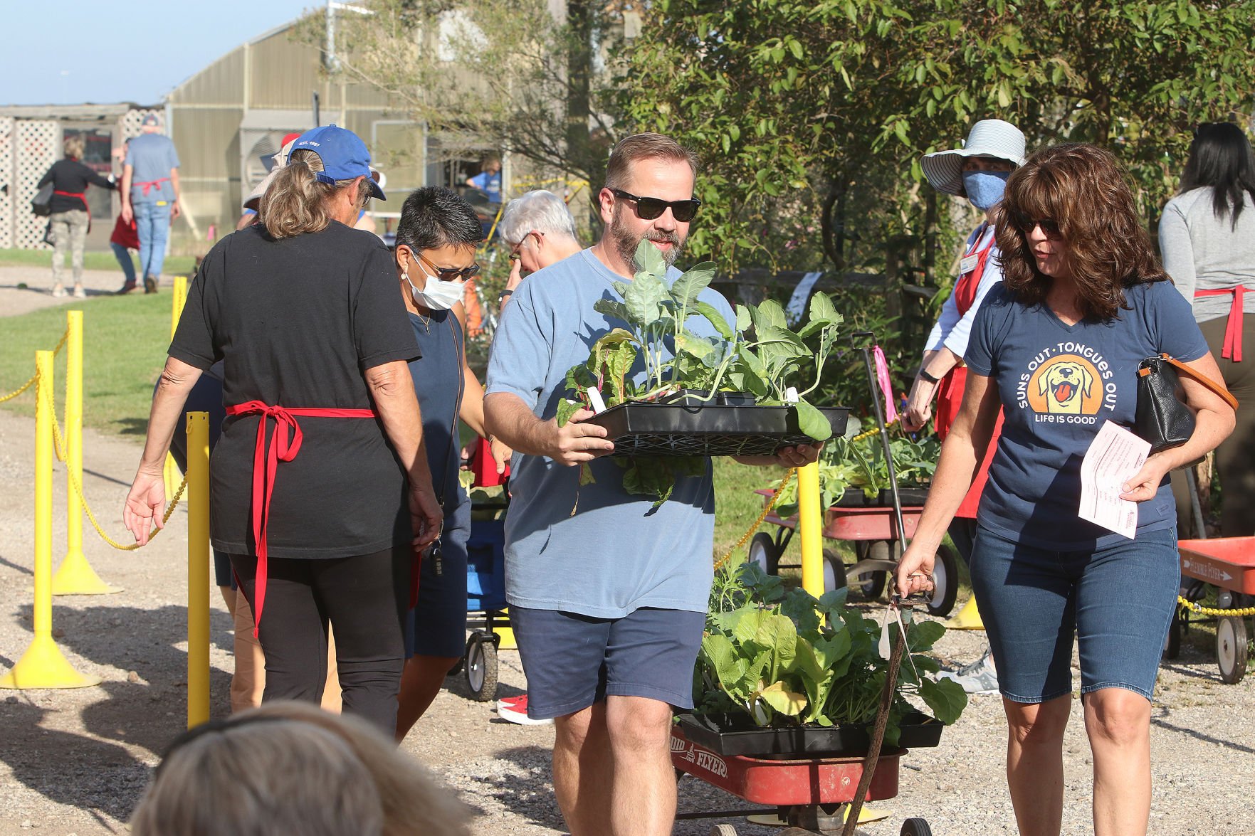 2021 Herb & Vegetable Plant Sale